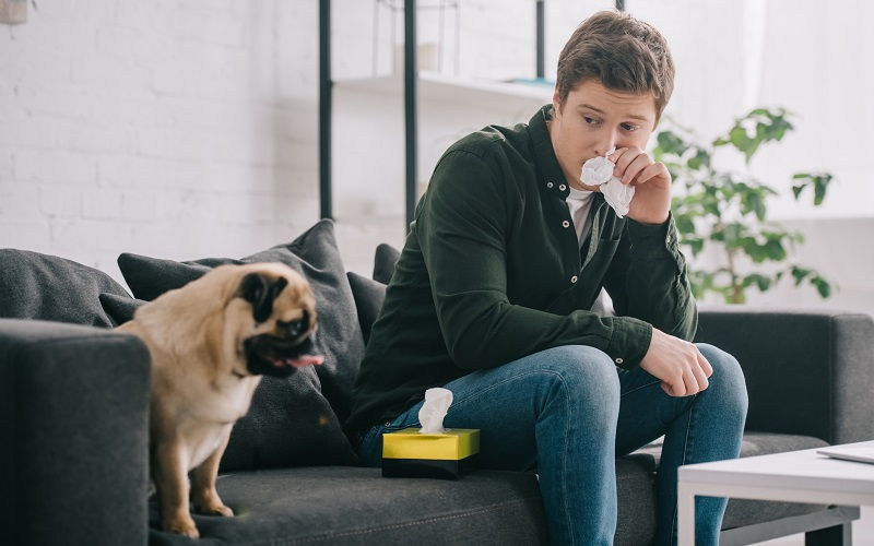 Alergia a perros y gatos: lo que debes saber